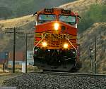 F51T6508 copy.JPG